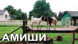 Амиши в США - Магазин амишей - Город Bird-in-Hand в Пенсильвании - FloridaSunshine