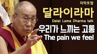 우리가 느끼는 고통  [달라이라마 일본법회 Dalai Lama Dharma talk in japan]