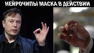 Илон Маск показал как работают нейрочипы для мозга
