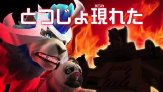 Strong Animal Kaiser Maximum M 5 trailer