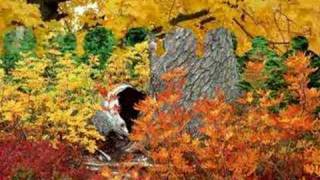 Andrea Ross - Moon River