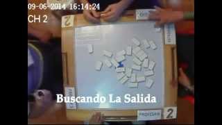 TUTORIAL DE DOMINO PROFESAN - MANO 1 mpg
