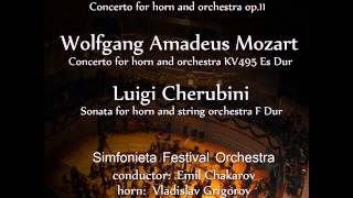 Luigi Cherubini: Sonata for Horn and String Orchestra No.2 in F Major