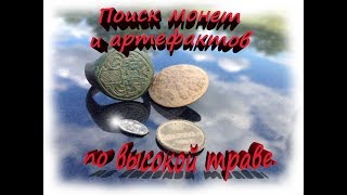 Поиск монет и артефактов по высокой траве.