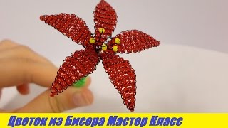 Цветок из Бисера для Начинающих Мастер Класс / Tutorial: Flower Beaded Beginner Master Class!