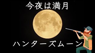 今日は満月「ハンターズムーン」