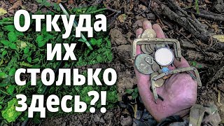 Странное место. Куча кошельков на лесной дороге! Откуда их столько здесь?!