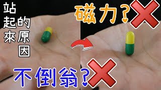 【真相】大家都誤會了! 藥丸會站起來的解說