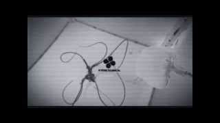 ╣TOKYODOLLS╠ - Disturbing $ociety - [official video] 2014