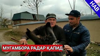Мугамбора радар капид сахнаи нав 2020
