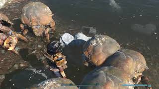 Fallout4 Как мое поселение на реке охраняють