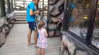 Это канал mister max mister max я снимаю это москва