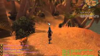 Joana UNEDITED - 13-15 Barrens - Vanilla WoW 1-60 Speed Run