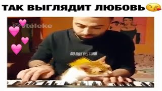 Супер видео!  Так выглядит любовь.