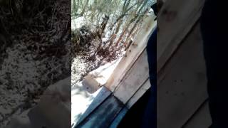 Спалили в заброшке