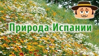 Природа Испании