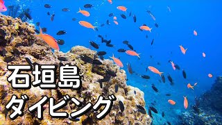 石垣島でダイビング【GoPro Hero7】