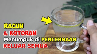 HANYA PAKAI INI, SEMUA MASALAH USUS + PENCERNAAN LENYAP, KOTORAN DAN RACUN KELUAR SEMUA | SEHAT TUBE