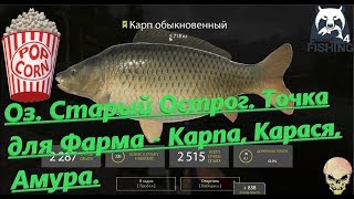 Русская Рыбалка 4. Оз. Старый Острог. Коорды для Фарма-Карпа, Карася,Амура. Фидер и Мах.
