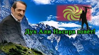 Дух Али Насира зовёт!: Talyshistan Tv 17.07.2017 News