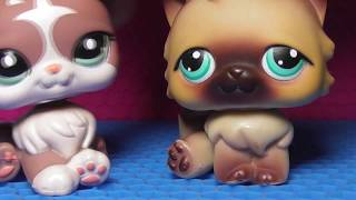 LPS: 10 НЕЛЮБИМЫХ littlest pet shops