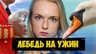 СТРАННЫЕ устаревшие ЗАКОНЫ Великобритании [Откуда взялись необычные правила]