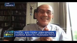 Pertalite Harus Dihapus, Faisal Basri: Pertalite Produk 'Banci'