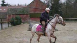 burdinne (l)