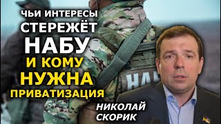 "Мотор Сич", приватизация "по серому" и чужеродное НАБУ. Николай Скорик (укр)