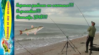 Хорошая рыбалка на пеленгаса!!!Кирилловка!!!Сентябрь 2018г.!!!
