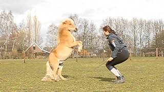 [FRESH NEW FLIP!] Flip & Eva training and FUN!