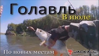 Голавль в июле. Разведка новых мест. Коряжник.