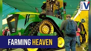 WATCH: The weird and wonderful world of Nampo Harvest Day