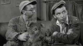 Человек с золотой рукой (1955)
