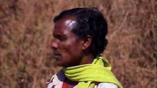 Tribal inform where is Paleolithic cave painting on this hill of Dharul MP India