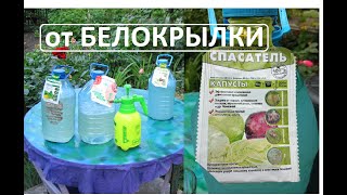 от БЕЛОКРЫЛКИ СПАСАТЕЛЬ КАПУСТЫ поможет ?