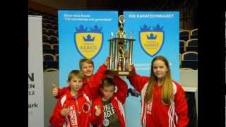 Budo Sportskarate Holstebro!