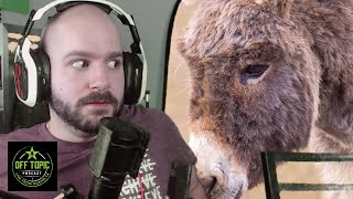 Jeremy, The Littlest Donkey - Off Topic - #244