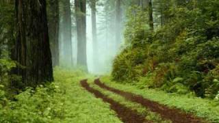 Franz Schubert - Der Lindenbaum