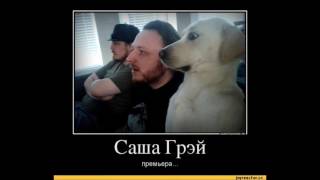 Установка сервера Раппелз 9.1