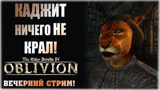 Каджит ничего не крал!  - The Elder Scrolls IV - Oblivion - Вечерний стрим!