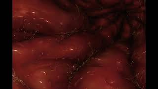 YOUR NEW BEDROOM (VORE/STOMACH AMBIANCE/RELAXING DURING BED TIME AUDIO)