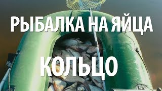 ЛОВЛЯ НА КОЛЬЦО, ЯЙЦА. РЫБАЛКА С ЛОДКИ НА ДОНУ