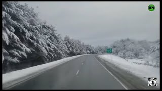 Зимняя дорога для успокоения нервов / Блогер и Хаски / Блогер БН
