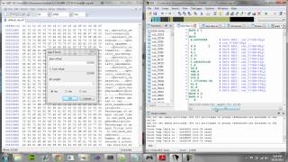 Modding MW3 with HXD and IDA Tutorial