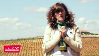 Bodegas Valduero - La poda en verde 2016 - Sigue tu cepa