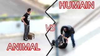 MALTRAITANCE DES ANIMAUX | BRUTAL ANIMAL ABUSE (Expérience Sociale)