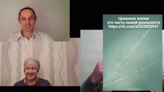 Раскрытие памяти прошлых жизней с помощью Телепата 272