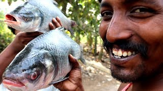 Fish Gravy Recipe | Country Boys | Cuntry Foods