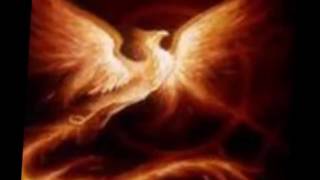 Tra miti e conigli; Il testamento della fenicie.